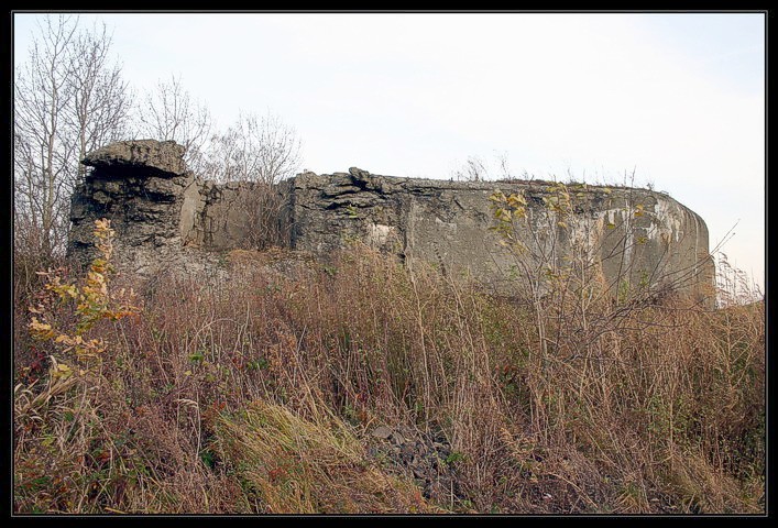 MOS-15 Vhledy
